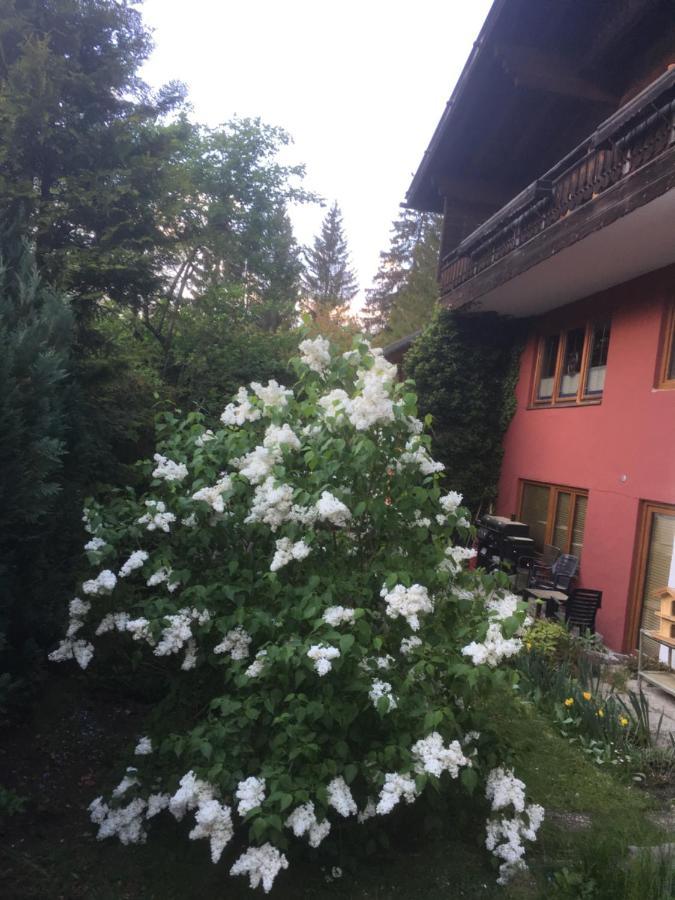 הרוואלד Ferienhaus Wieswald מראה חיצוני תמונה
